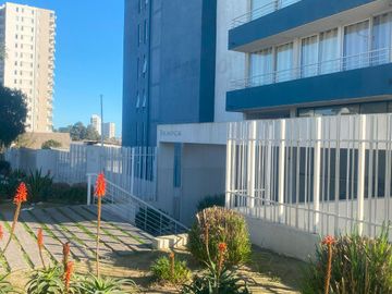 Vendo Departamento Lomas De Montemar Los Abedules 2d/2b