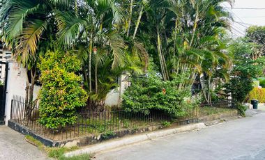 🌙✨ Your Dream Home Awaits! Captivating House & Lot in Moonwalk, Paranaque For SALE✨🌙