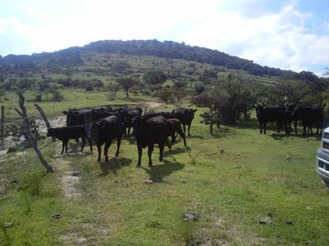 Gran oportunidad!! Terreno en venta cerca de Jilotepec