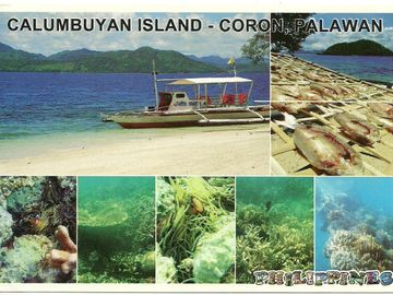 LOT FOR SALE IN CORON, PALAWAN