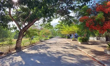 LOT FOR SALE IN CORON, PALAWAN