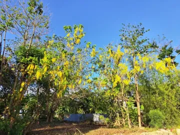 LOT FOR SALE IN CORON, PALAWAN