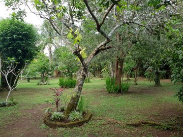 GARDEN RESORT IN INDANG, CAVITE FOR SALE