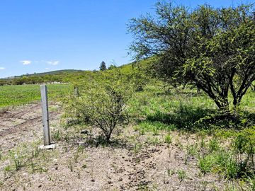 TERRENO EN ZOQUITAL ATOTONILCO 10677 m2 $257 el m2