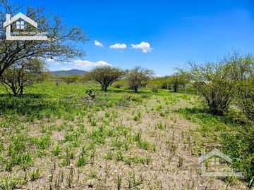 TERRENO EN ZOQUITAL ATOTONILCO 10677 m2 $257 el m2