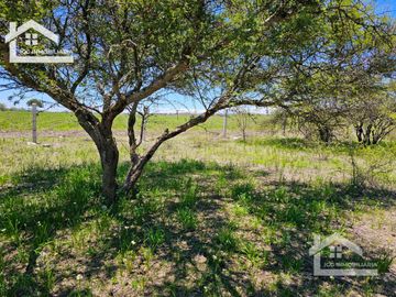 TERRENO EN ZOQUITAL ATOTONILCO 10677 m2 $257 el m2