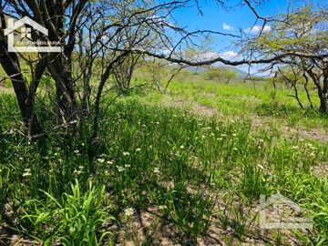 TERRENO EN ZOQUITAL ATOTONILCO 10677 m2 $257 el m2