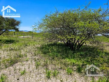 TERRENO EN ZOQUITAL ATOTONILCO 10677 m2 $257 el m2