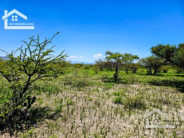 TERRENO EN ZOQUITAL ATOTONILCO 10677 m2 $257 el m2
