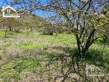 TERRENO EN ZOQUITAL ATOTONILCO 10677 m2 $257 el m2