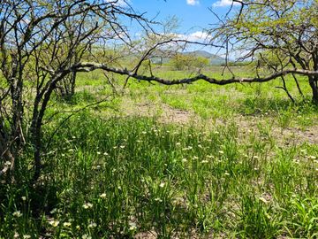 TERRENO EN ZOQUITAL ATOTONILCO 10677 m2 $257 el m2