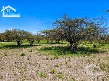 TERRENO EN ZOQUITAL ATOTONILCO 10677 m2 $257 el m2