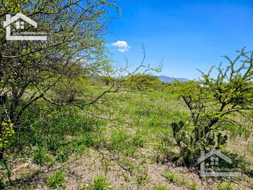 TERRENO EN ZOQUITAL ATOTONILCO 10677 m2 $257 el m2