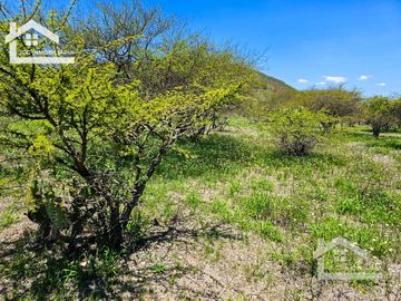 TERRENO EN ZOQUITAL ATOTONILCO 10677 m2 $257 el m2