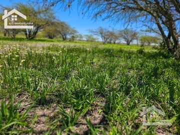TERRENO EN ZOQUITAL ATOTONILCO 10677 m2 $257 el m2