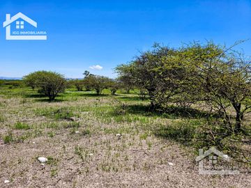 TERRENO EN ZOQUITAL ATOTONILCO 10677 m2 $257 el m2