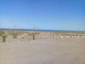 Excelente oportunidad para inversionistas 114 hectáreas en venta al sur de San Felipe  KM 51.65