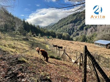 CUNCO Río Blanco Parcela 5 hectáreas con derechos de agua COD.VTAP105
