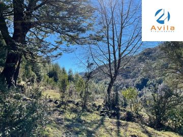 CUNCO Río Blanco Parcela 5 hectáreas con derechos de agua COD.VTAP105