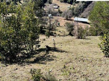 CUNCO Río Blanco Parcela 5 hectáreas con derechos de agua COD.VTAP105