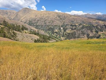 ¡OPORTUNIDAD ÚNICA DE INVERSIÓN AGRÍCOLA! VENTA DE PREDIO AGRÍCOLA EN CURAHUASI - ABANCAY DE 9.91 hectáreas
