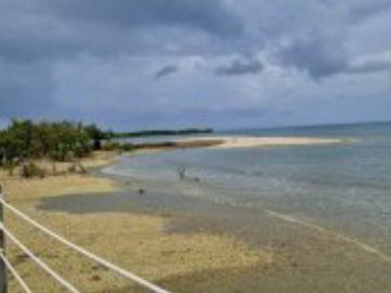 For Sale House and Lot in Aduna Villas, Danao City, Cebu