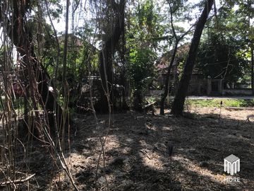 Property ID202LS Land for sale in Mae Rim 1-0-3 Rai near Nakornping Hospital.
