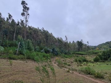 Hermosa parcela a minutos de Concepción