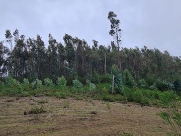 Hermosa parcela a minutos de Concepción