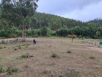 Hermosa parcela a minutos de Concepción