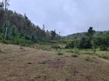 Hermosa parcela a minutos de Concepción