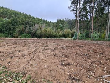 Hermosa parcela a minutos de Concepción
