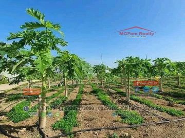 SABELLA VILLAGE House For Sale in General Trias Cavite