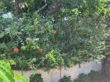 BAJÓ DE PRECIO!!!  CASA/TERRENO:  2 FRENTES, AVENIDA Y PARQUE