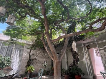 BAJÓ DE PRECIO!!!  CASA/TERRENO:  2 FRENTES, AVENIDA Y PARQUE