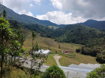 FINCA VEREDA SAN MIGUEL