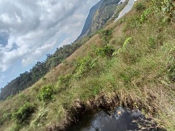 FINCA VEREDA SAN MIGUEL
