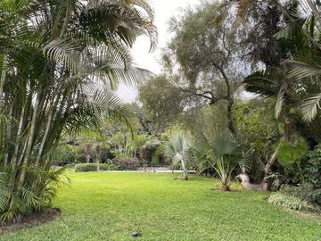 Amplia residencia, Rinconada Alta