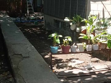 Rush Sale: 1,354 square meter lot with 5 old houses built thereon.