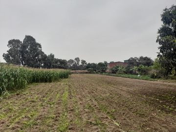 Se Vende Terreno en Ex Fundo Casa Blanca - Pachacamac