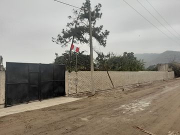 Se Vende Terreno en Ex Fundo Casa Blanca - Pachacamac