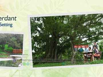 Forest Farm at Havila Angono Rizal