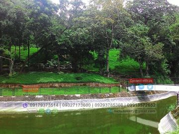 Forest Farm at Havila Angono Rizal