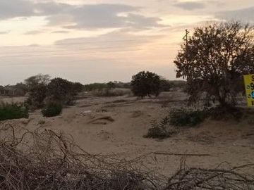VENTA DE TERRENO DE 11 HAS, PIURA, URB. LOS EJIDOS, ZONA EXPANSION URBANA