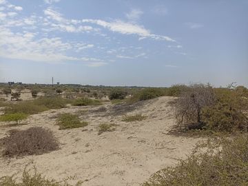 VENTA DE TERRENO DE 11 HAS, PIURA, URB. LOS EJIDOS, ZONA EXPANSION URBANA
