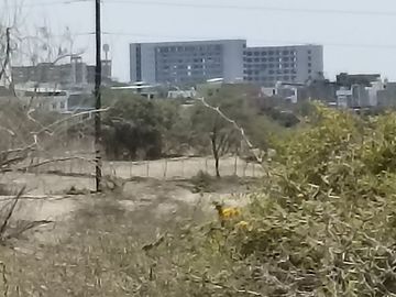 VENTA DE TERRENO DE 11 HAS, PIURA, URB. LOS EJIDOS, ZONA EXPANSION URBANA