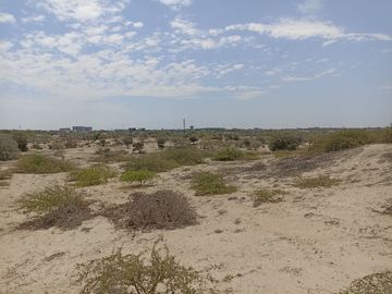 VENTA DE TERRENO DE 11 HAS, PIURA, URB. LOS EJIDOS, ZONA EXPANSION URBANA
