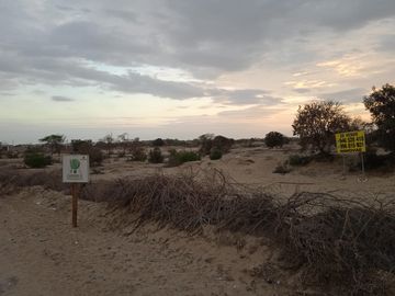 VENTA DE TERRENO DE 11 HAS, PIURA, URB. LOS EJIDOS, ZONA EXPANSION URBANA