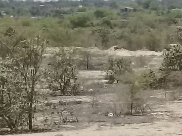 VENTA DE TERRENO DE 11 HAS, PIURA, URB. LOS EJIDOS, ZONA EXPANSION URBANA