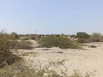 VENTA DE TERRENO DE 11 HAS, PIURA, URB. LOS EJIDOS, ZONA EXPANSION URBANA